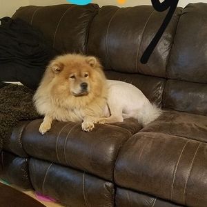 Meet your Posher, Nancy